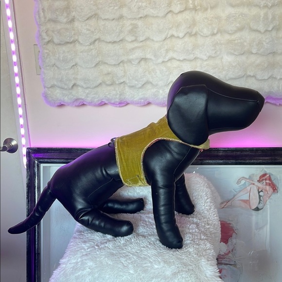 Stylish Black and Gold Dog Harness - Picture 1 of 7